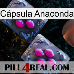 Cápsula Anaconda 01